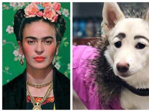 الكلب فريدا والرسامة فريدا كاهلو 