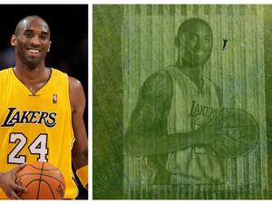 كوبي براينت