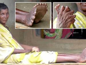 كومار ناياك