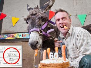 أنثى الحمار العجوزة "بابلز"