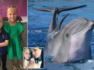 الطفلة "ليكسي يو"