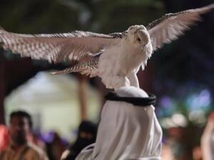 مهرجان الملك عبدالعزيز للصقور 