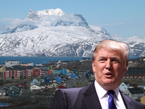 الرئيس الأمريكي دونالد ترامب الرئيس الأمريكي دونالد ترامب