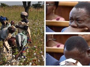 وزير الزراعة والثروة الحيوانية والسمكية في جمهورية "بنين"