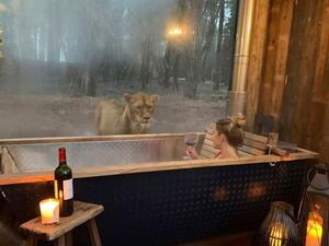  نُزل Port Lympne Hotel and Reserve