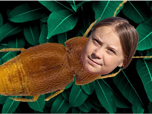 ناشطة المناخ السويدية "غريتا تونبرغ"