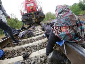 ناشطون في مجال البيئة  ناشطون في مجال البيئة
