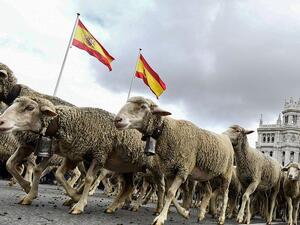 مهرجان هجرة الخرفان 