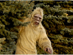 صرخات مخيفة تصدر من غابة كندية