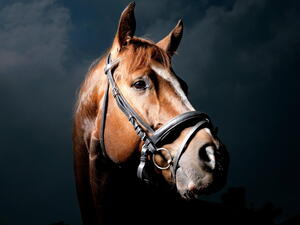 تعبيرية تعبيرية