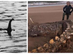 عاصفة سيارا