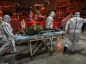 فايروس الكورونا