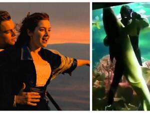 غوّاص يراقص سمكة قرش في مشهد رومانسي