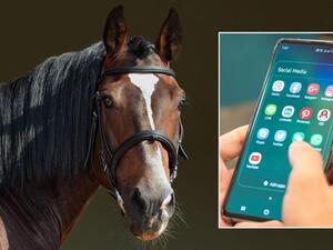 التحدث على الهاتف أثناء ركوب الحصان