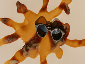 نظارة شمسية برائحة القهوة نظارة شمسية برائحة القهوة