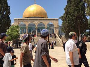 دعوات للرباط عقب اقتحامات واسعة للمسجد للأقصى