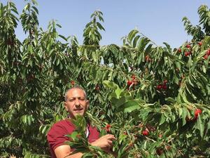  الأسير الفلسطيني سامر العربيد 