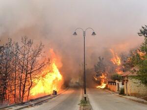 الحرائق" بلبنان