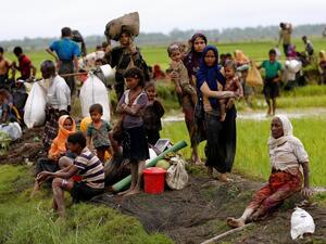 ميانمار تجبر الروهينغيا على قبول بطاقات هوية تحرمهم الجنسية