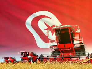 تحتاج تونس لمعدل يقارب 30 مليون قنطار من الحبوب سنوياً