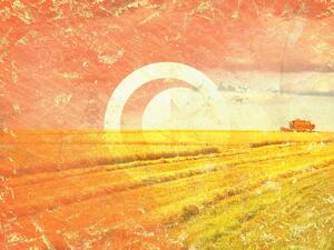 ارتفاع خطر الحرائق دعت المنظمات والنقابات المهنية للمزارعين المهنيين إلى حماية المحاصيل من الحرائق وتوفير كل الظروف الملائمة لنقلها إلى مراكز التخزين