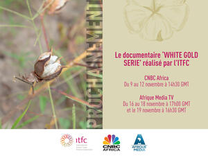 The International Islamic Trade Finance Corporation Launches Four-Part Documentary Series on West African Cotton Sector