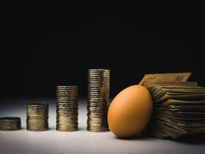 توقع مسؤولون في قطاع الدواجن في تركيا حدوث أزمة بيض في السوق التركية خلال 6 أشهر