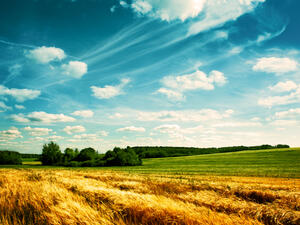 تعهدت وزارة الزراعة العام الماضي باتخاذ إجراء للتصدي إلى تلوث الريف ووعدت بتحسين البنية التحتية للقرى و"العادات السيئة" لسكان الريف