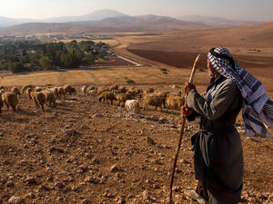 Bedouin looks out over historic Jordan Valley /AFP