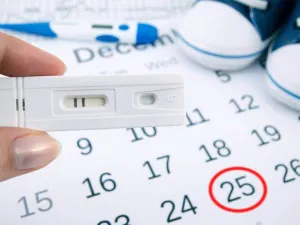 كيف أحسب أيام التبويض بعد الدورة بدقة لحمل ناجح