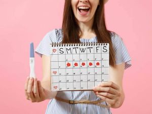 كيفية حساب الدورة الشهرية لمعرفة الحمل