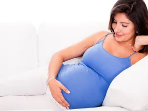 متى تشرب عشبة كف مريم للحمل وما هي أضرارها
