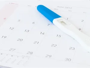 هل يحدث حمل في اليوم 13 من الدورة؟ وما المقصود بالتبويض؟