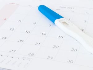 هل يحدث حمل في اليوم 13 من الدورة؟ وما المقصود بالتبويض؟