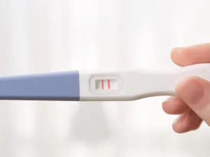 هل يمكن الحمل بعد الدورة بدون ممارسة