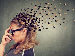 يميل الثور إلى امتلاك ذاكرة فوتوغرافية