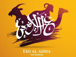 عيد الأضحى على الأبواب، قادماً وحاملاً معه الكثير من الخير والفرح 