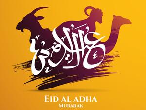 عيد الأضحى على الأبواب، قادماً وحاملاً معه الكثير من الخير والفرح 