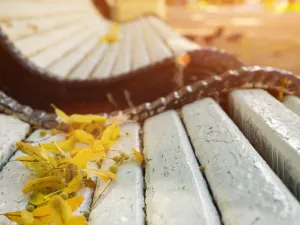  الاعتدال الخريفي