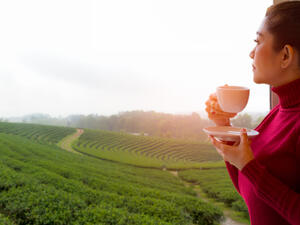 توقعات الأبراج الجمعة 21 فبراير/ شباط 2020