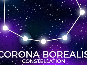 الأبراج وتعاملها مع كورونا