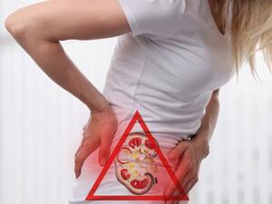 أفضل طريقة لمنع تشكل حصوات الكلى هي شرب الكثير من الماء