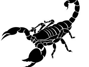 علاقة مولود برج العذراء ومولود برج الحوت تجمعهما علاقة توافقية مثالية