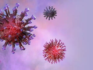 فيروس كورونا