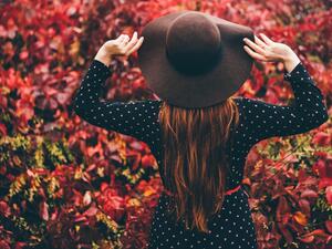 توقعات الأبراج