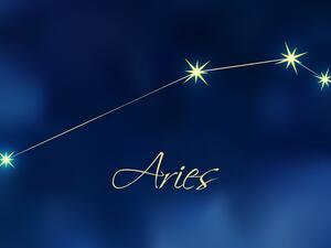 الحمل ناجح في أن يكون سيء السمعة، وقد يفضل ذلك