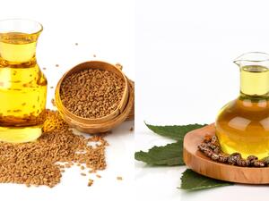 من فوائد زيت الحلبة أنه يستعمل في نفخ وتكبير الخدود