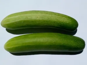 فوائد الخيار للتخسيس