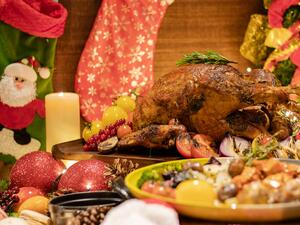 الديك الرومي في المنزل