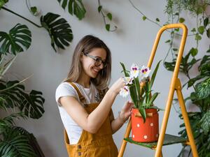 تخلتف احتياجات النباتات للماء من نبته إلى أخرى